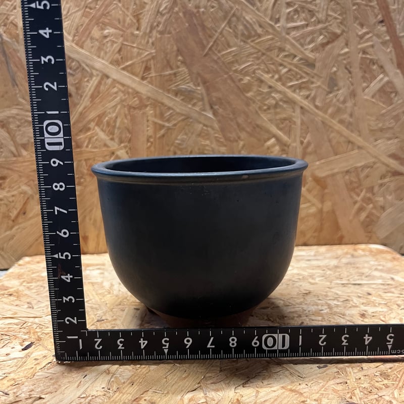 伝市鉢 コウロ型 サクラ草 黒化粧 3.5号 | GREEN LUCK