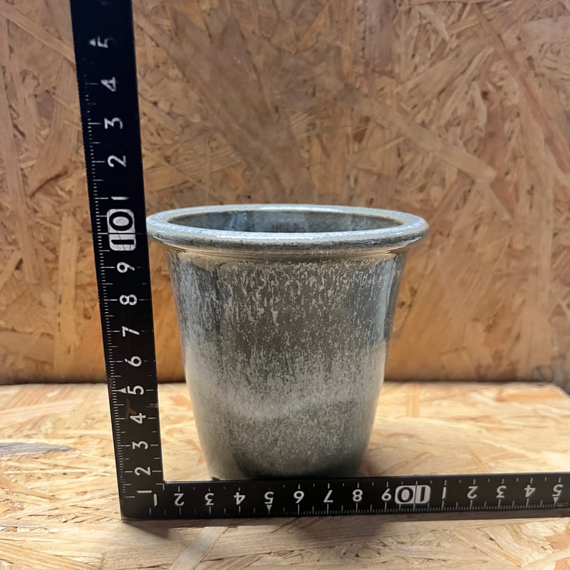 伝市鉢 型ラン型 3号 土灰 | GREEN LUCK