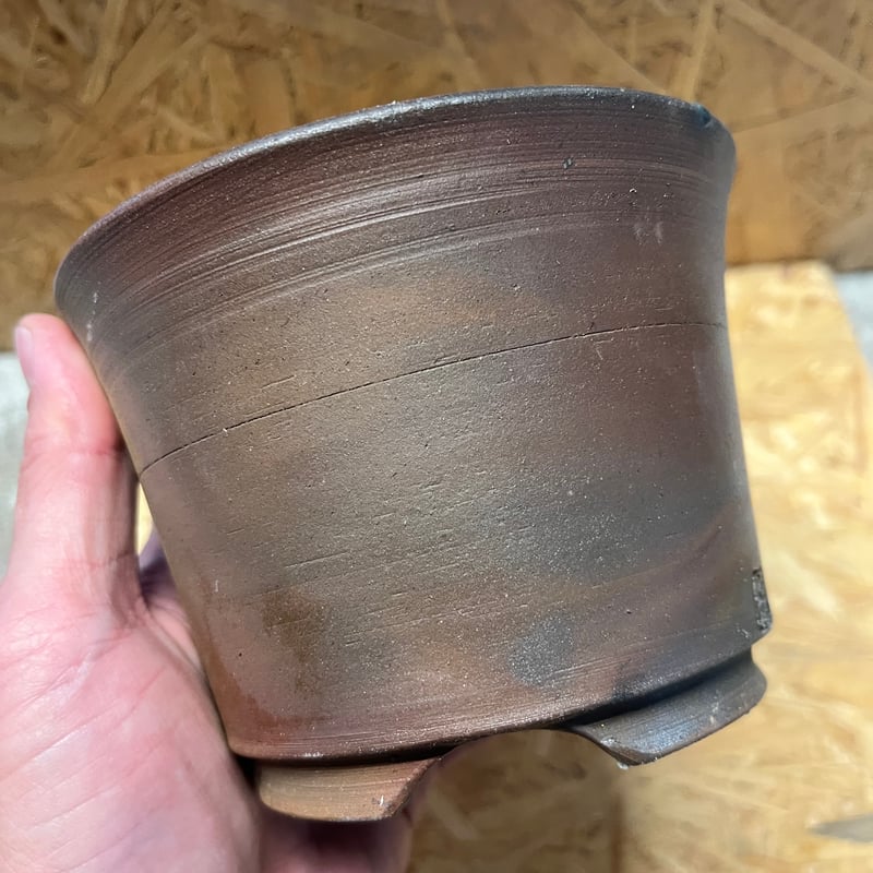 伝市鉢 シャジン型 4号 登窯 | GREEN LUCK