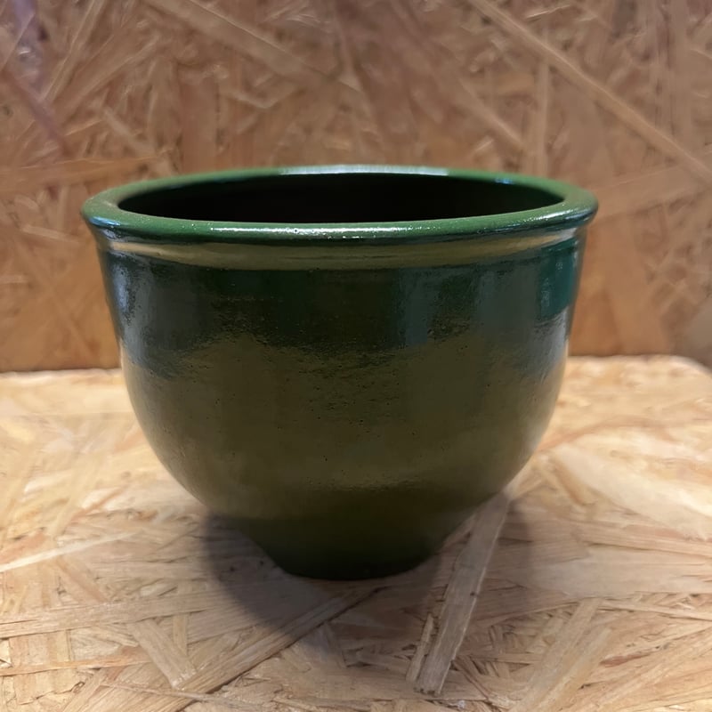 伝市鉢 コウロ型 3.5号 別注グリーン | GREEN LUCK