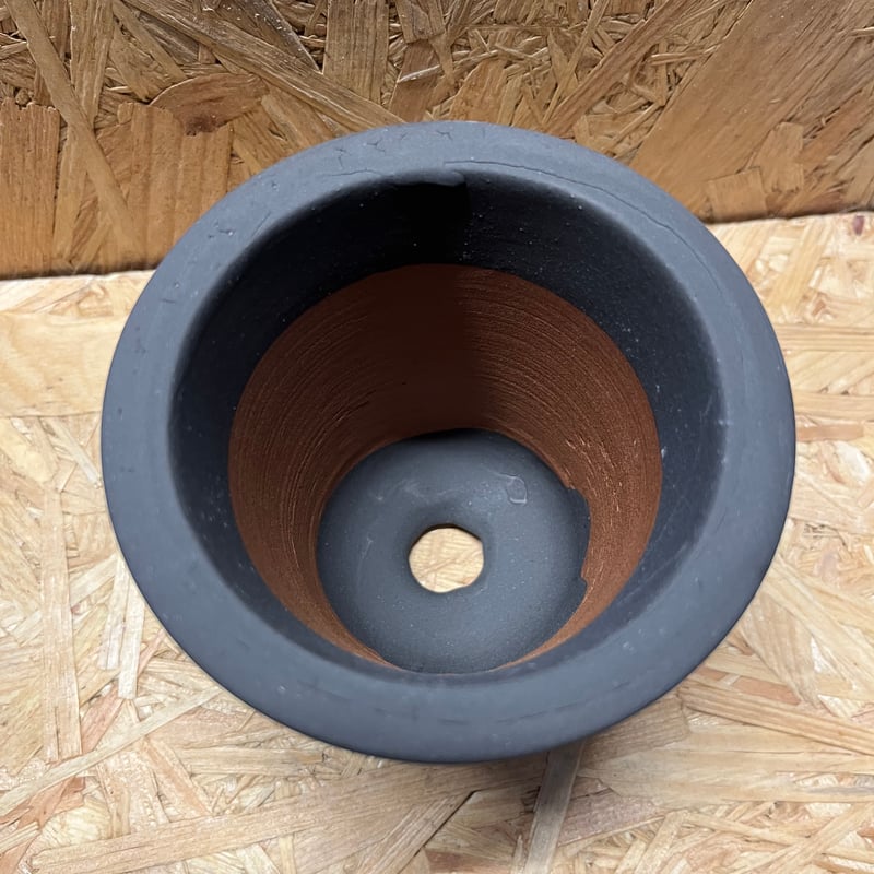 伝市鉢 型ラン型 3号 黒化粧 | GREEN LUCK