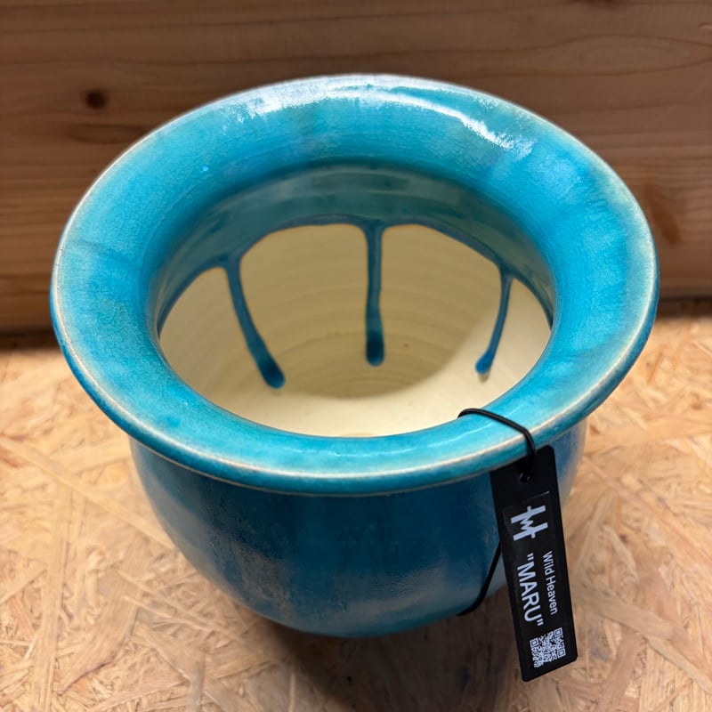 Wild Heaven 陶器鉢 MARU 5.5号 | GREEN LUCK
