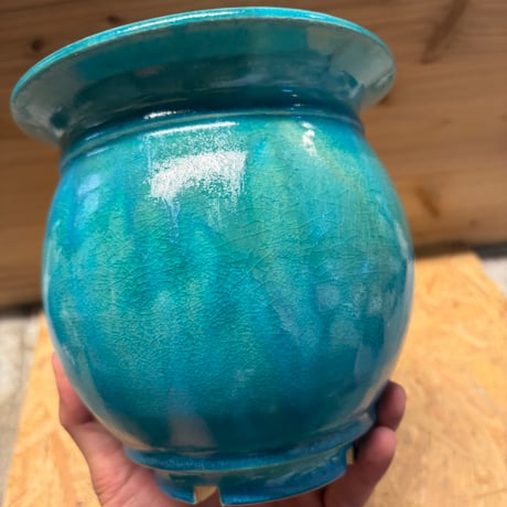 Wild Heaven 陶器鉢　MARU 5.5号