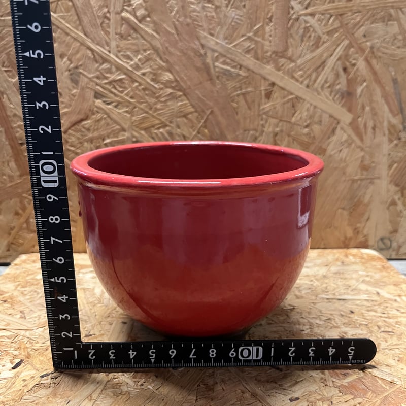 伝市鉢 コウロ型 4号 別注カラー | GREEN LUCK