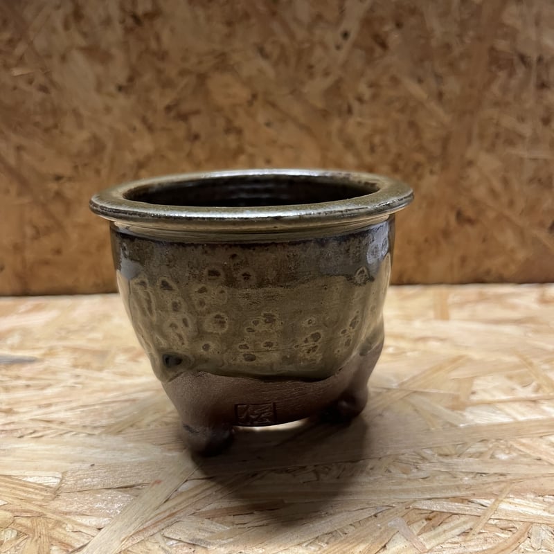 伝市鉢 穴窯 口広足付き 2.5号 | GREEN LUCK