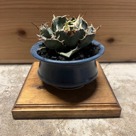recycle wood パイン材　植物台座　ウッドテーブル