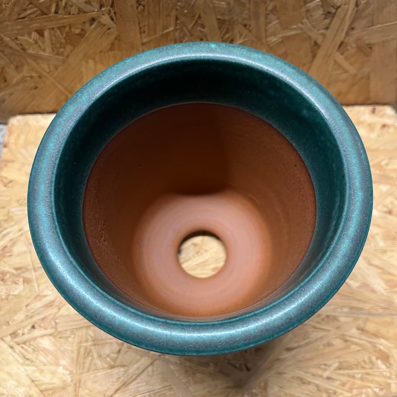 伝市鉢 型ラン 4号 青銅 | GREEN LUCK