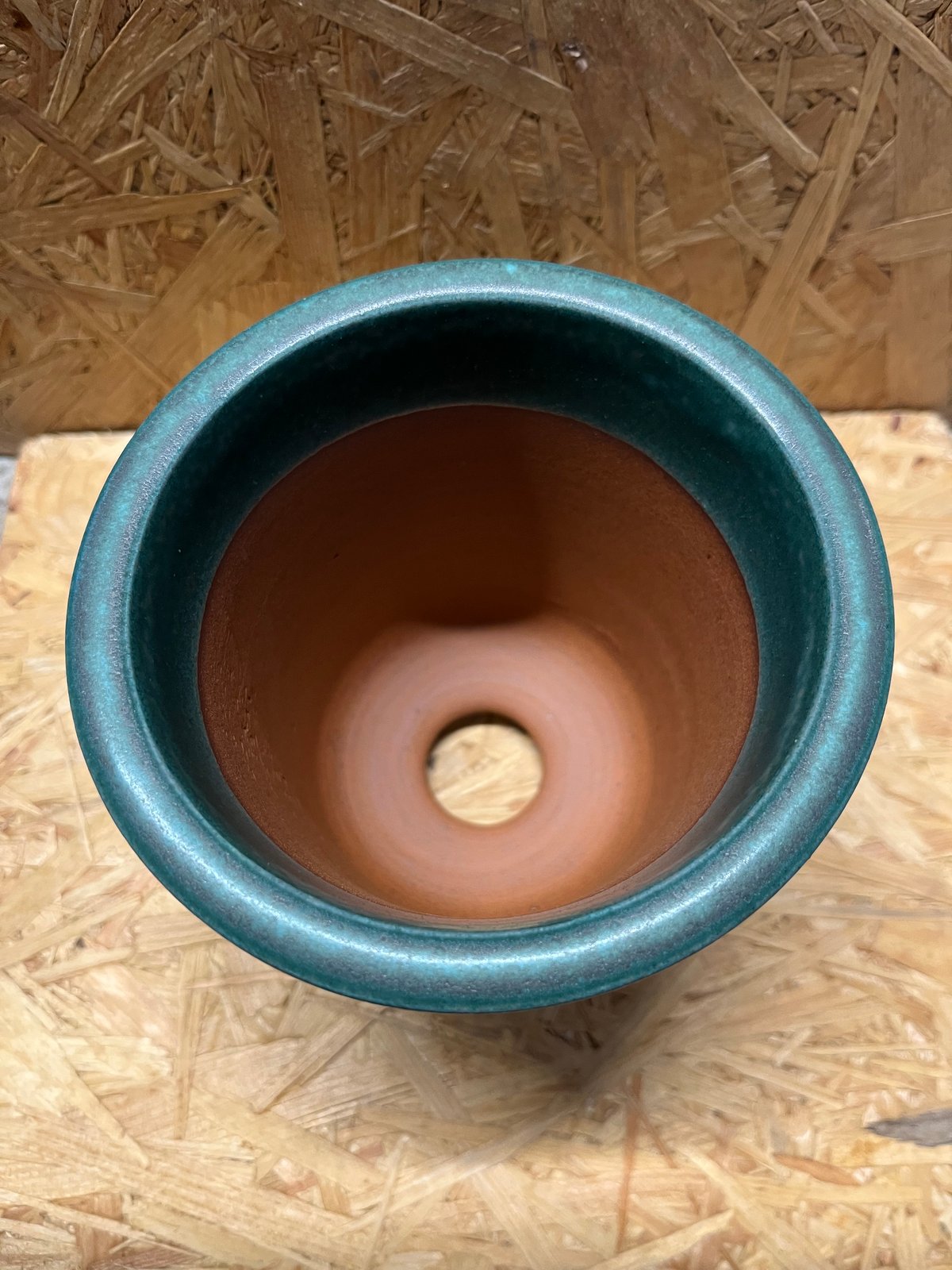 伝市鉢 型ラン 4号 青銅 | GREEN LUCK