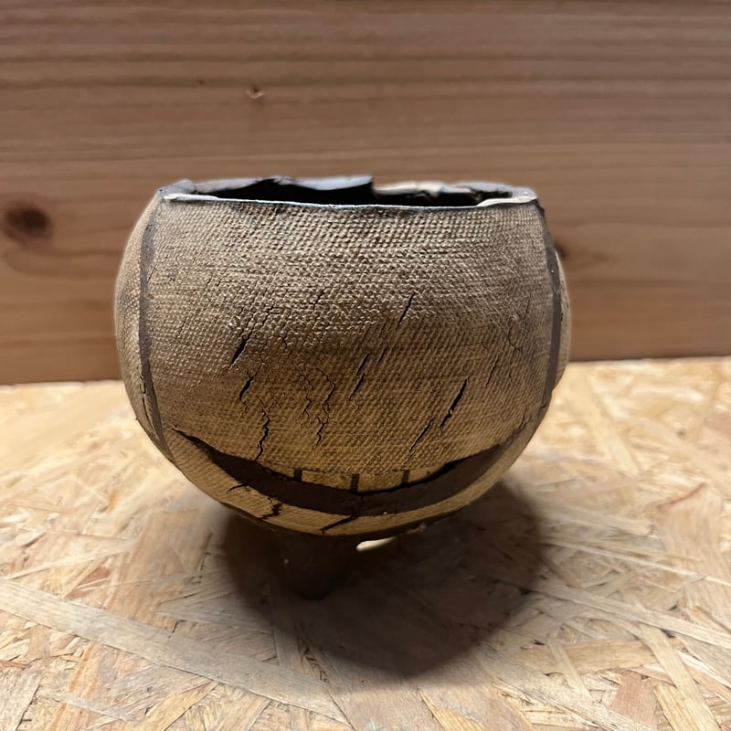 COMWORK STUDIO 信楽焼 植木鉢 | GREEN LUCK