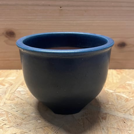 CATEGORY 伝市窯 伝市鉢 | GREEN LUCK