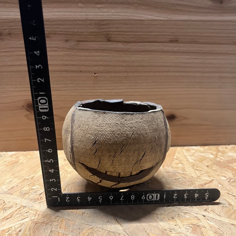 COMWORK STUDIO 信楽焼 植木鉢 | GREEN LUCK