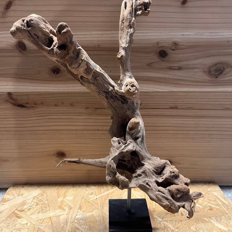 流木スタンドライト　大型　昇龍 流木スタンドライト 大型 昇龍 流木スタンドライト 大型 昇龍