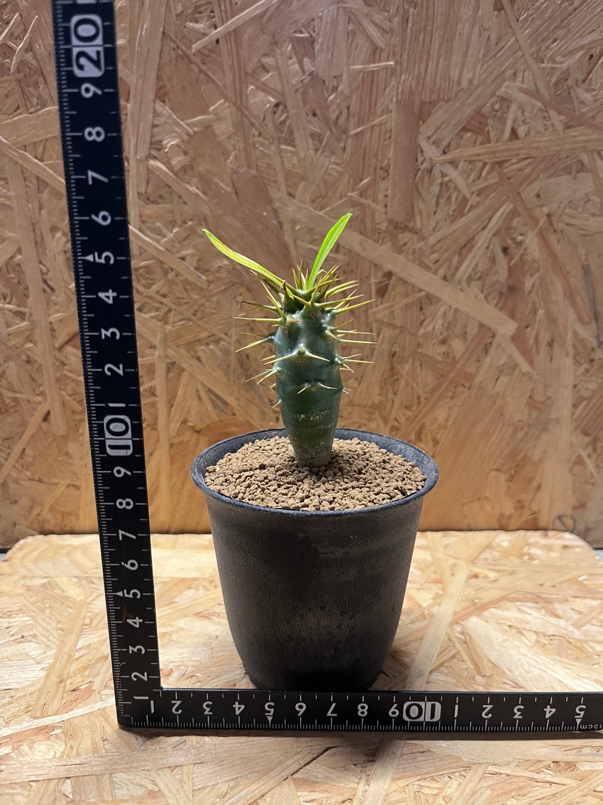 fit=scale-down,w=1200