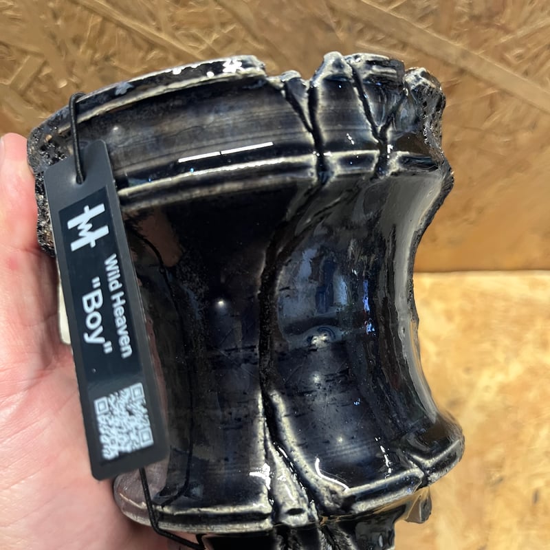 mumeino_a フラワー・ガーデニング Wild Heaven 4寸〝Boy” 作家鉢