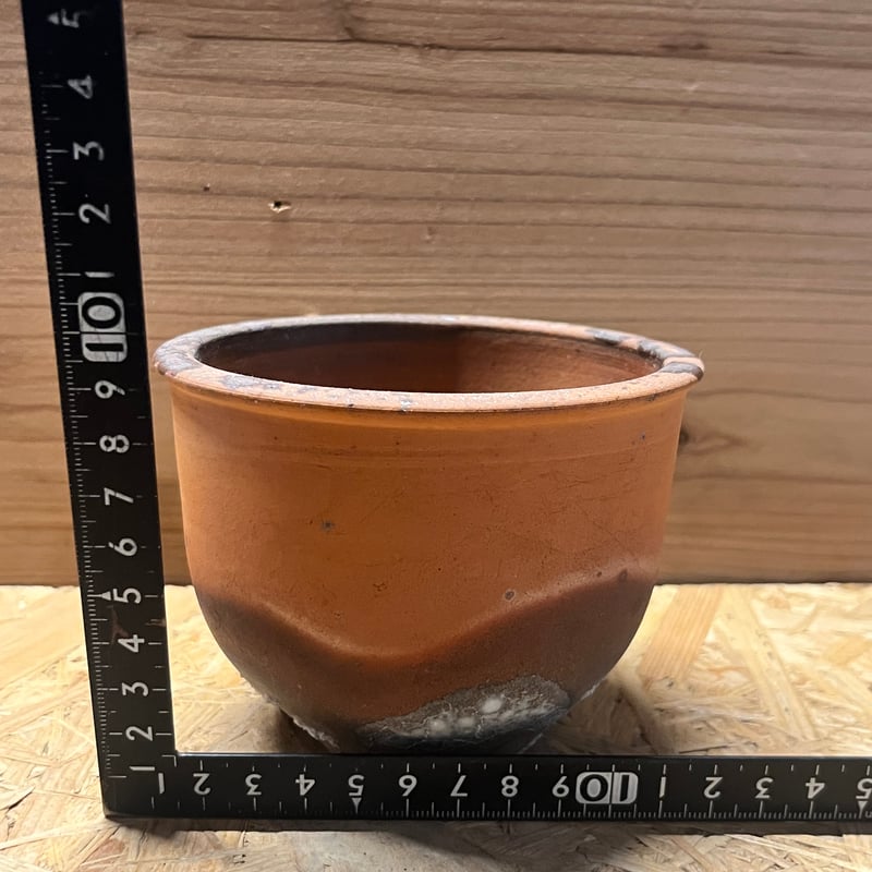 伝市鉢 穴窯 コウロ型 3.5号 | GREEN LUCK