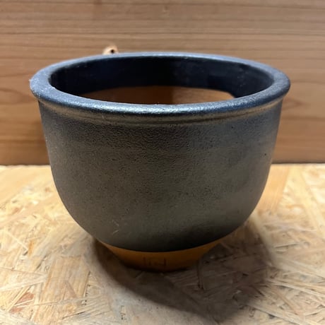 CATEGORY 伝市窯 伝市鉢 | GREEN LUCK