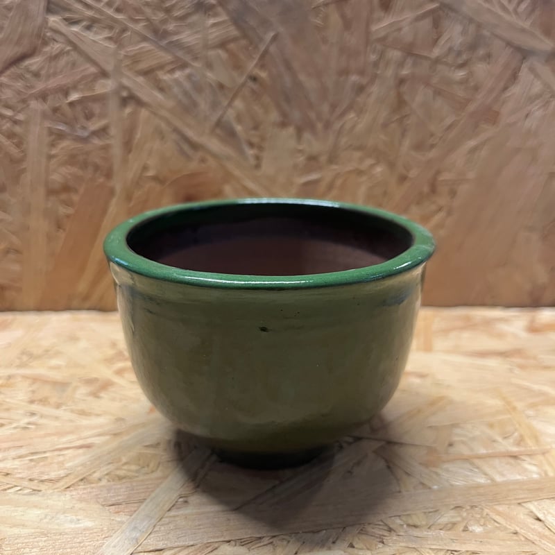伝市鉢 コウロ型 2.5号 別注グリーン | GREEN LUCK