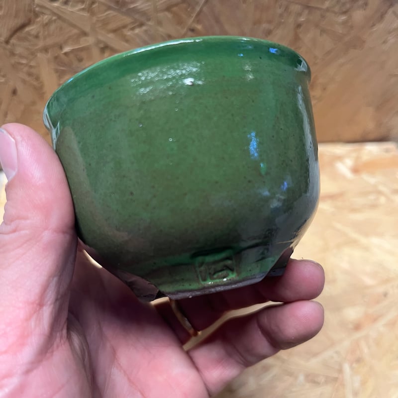 伝市鉢 コウロ型 2.5号 別注グリーン | GREEN LUCK