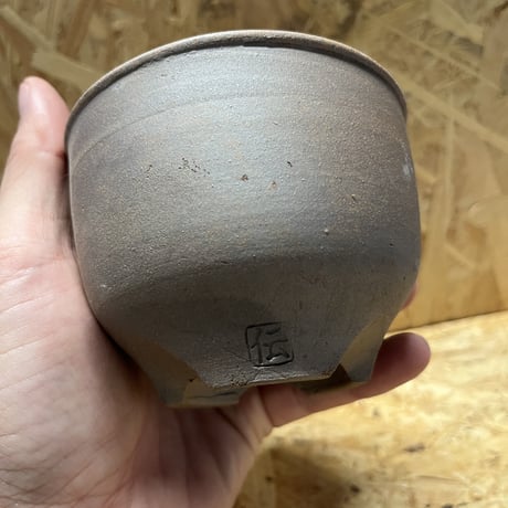 伝市鉢　コウロ型　サクラ草　3号
