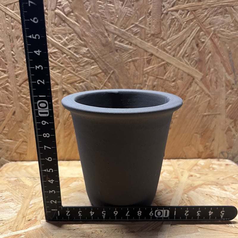 伝市鉢 型ラン型 3号 黒化粧 | GREEN LUCK