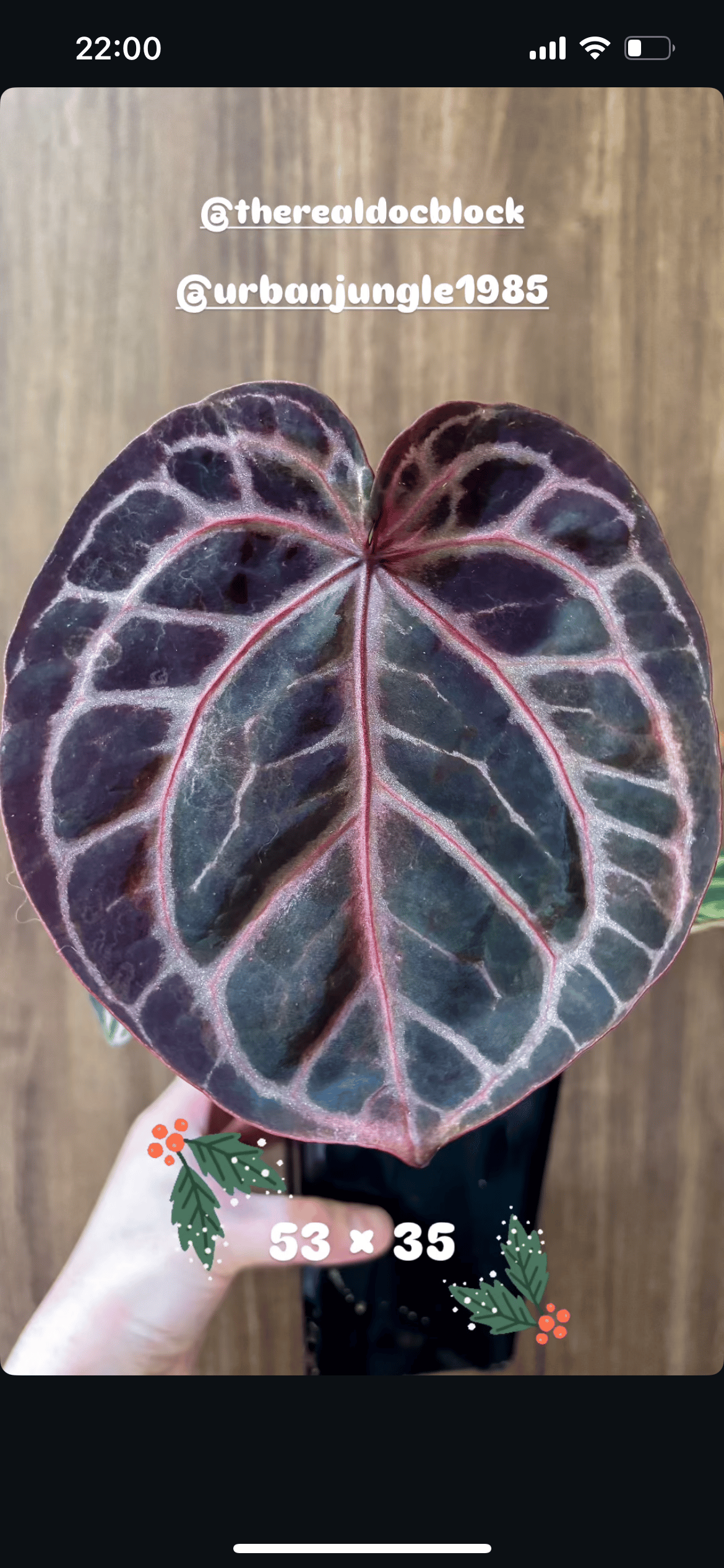 fit=scale-down,w=1200