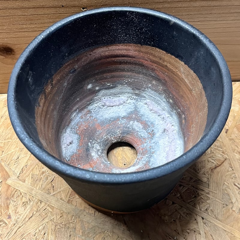 鉢　古いもの 黒プラ鉢Φ39 | 杜若園芸WEBショップ｜水草の生産販売【通販ショップ】