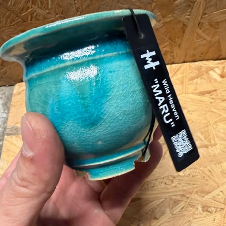 Wild Heaven 陶器鉢　MARU 3号