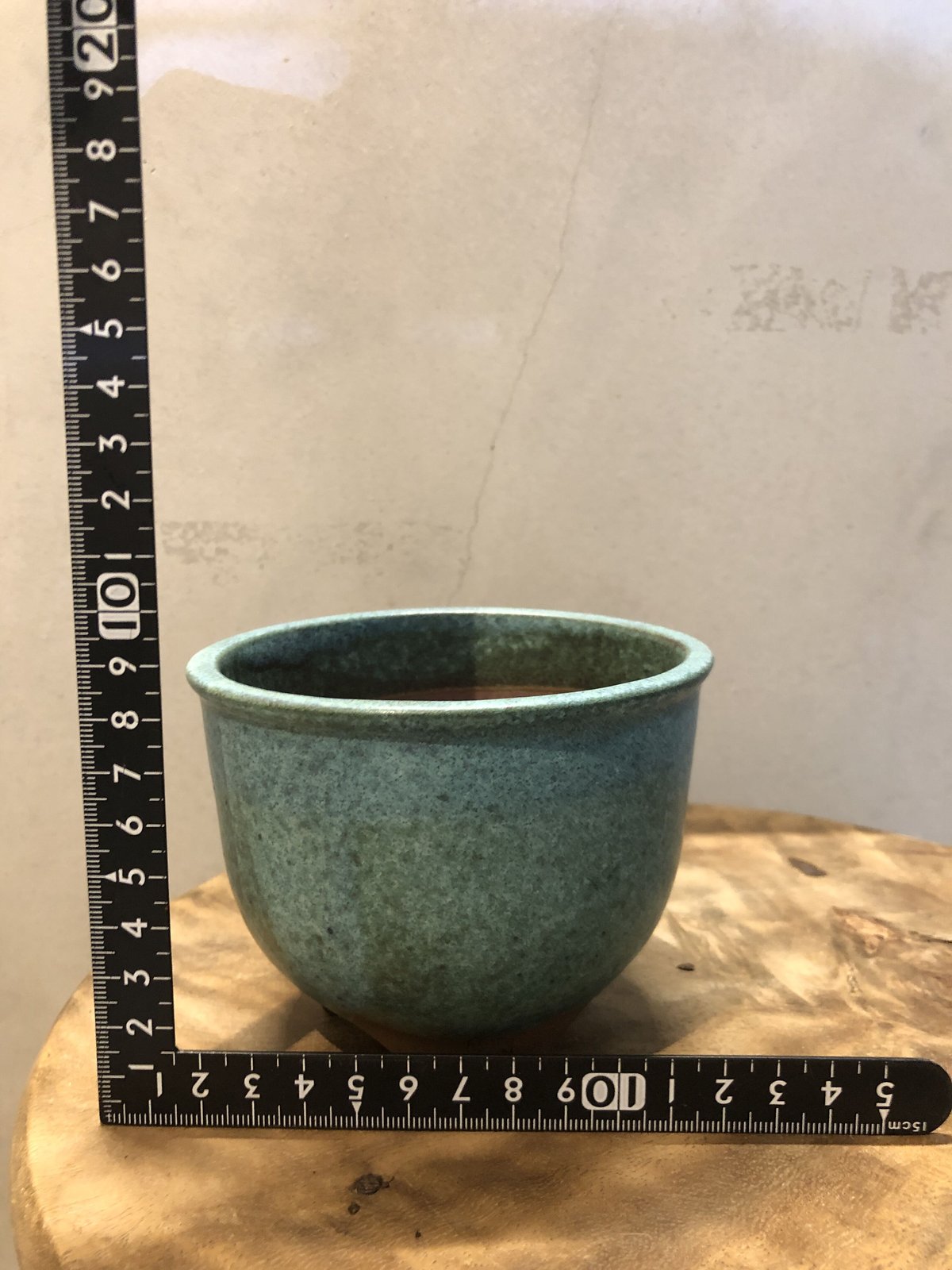 伝市鉢 コウロ型 サクラ草 青銅 3.5号 | GREEN LUCK