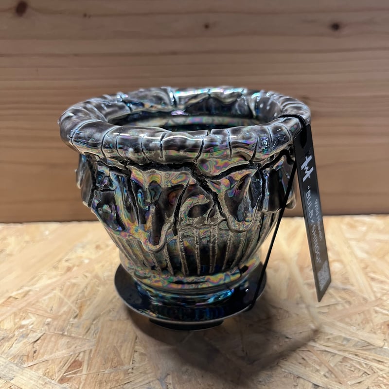 Wild Heaven 陶器鉢 BULB×SHINOGI | GREEN LUCK