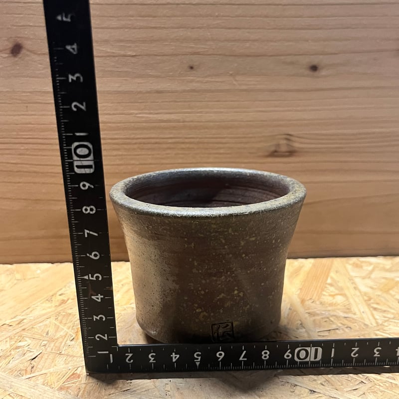 伝市鉢 穴窯 シャジン型 3号 | GREEN LUCK