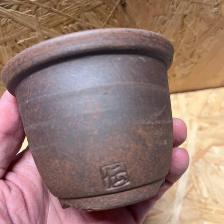 伝市鉢　丸型　2.5号