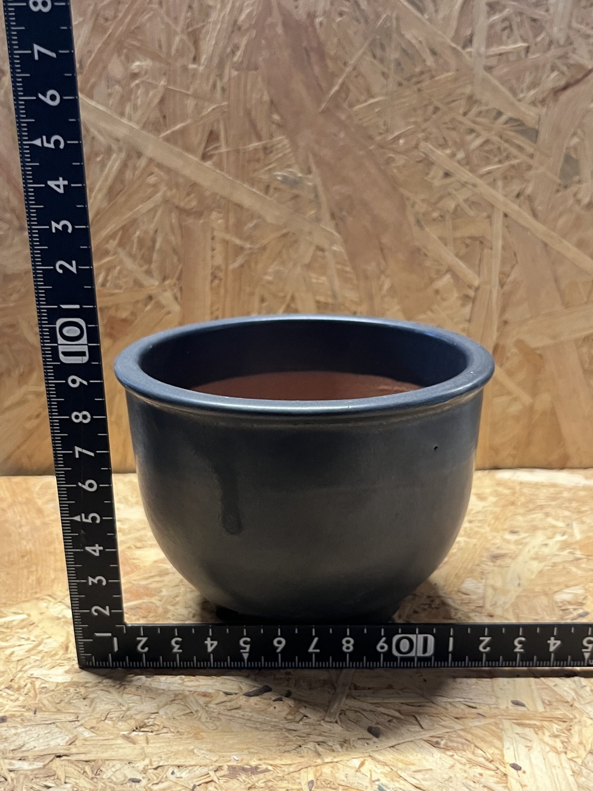 伝市鉢 コウロ型 サクラ草 黒化粧 3.5号 | GREEN LUCK