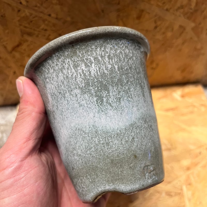 伝市鉢 型ラン型 3号 土灰 | GREEN LUCK