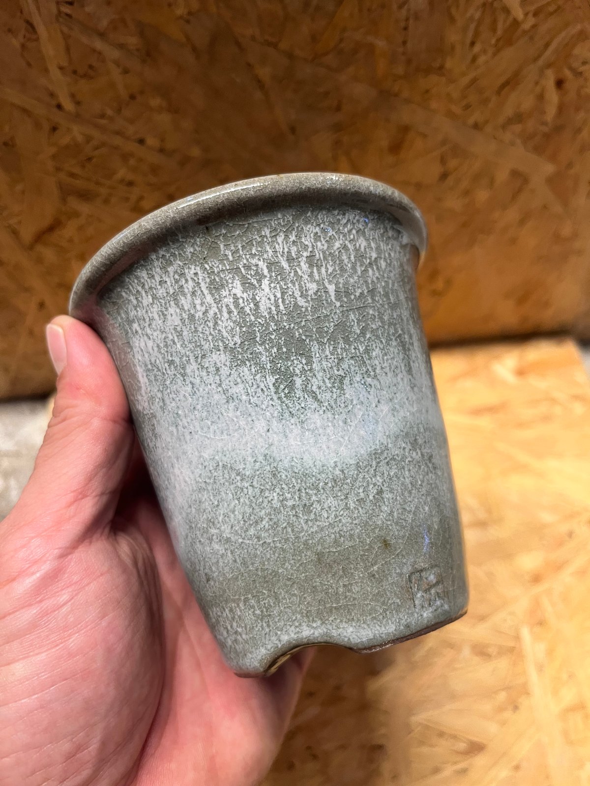 伝市鉢 型ラン型 3号 土灰 | GREEN LUCK