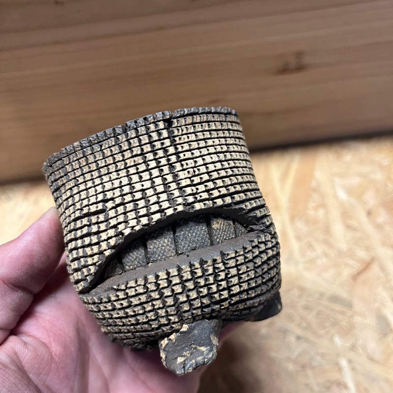 陶器鉢　コムスワークスタジオ製 COMWORK STUDIO 信楽焼 植木鉢 | GREEN LUCK