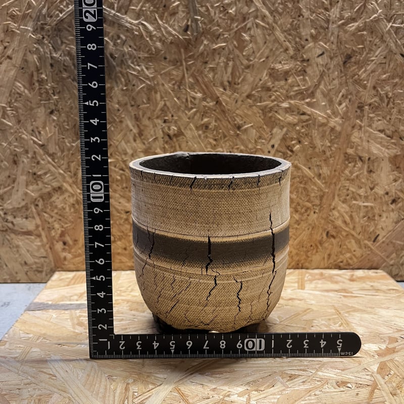 COMWORK STUDIO 信楽焼 植木鉢 | GREEN LUCK