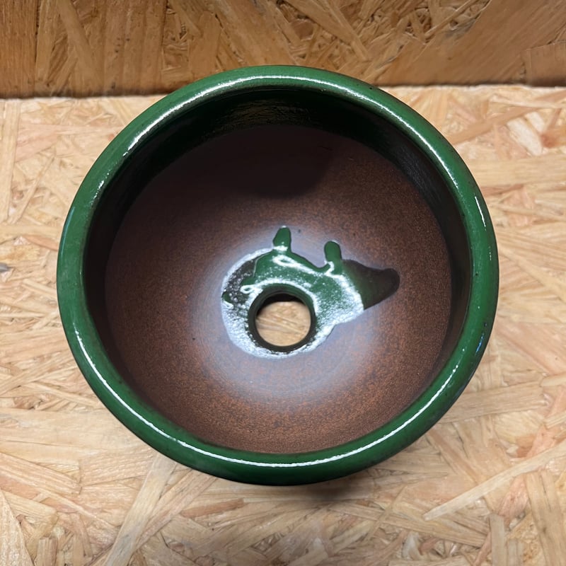 伝市鉢 コウロ型 3号 別注グリーン | GREEN LUCK