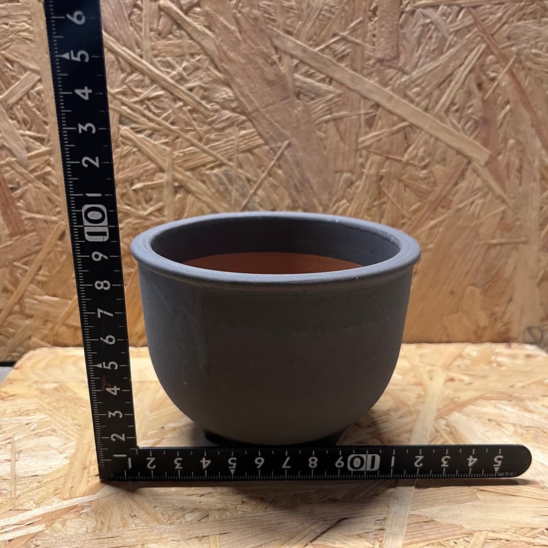 ワイルド　伝市鉢 コウロ型3.5号 黒化粧　荒々しいレア品 伝市鉢 コウロ型 3.5号 黒化粧 | GREEN LUCK
