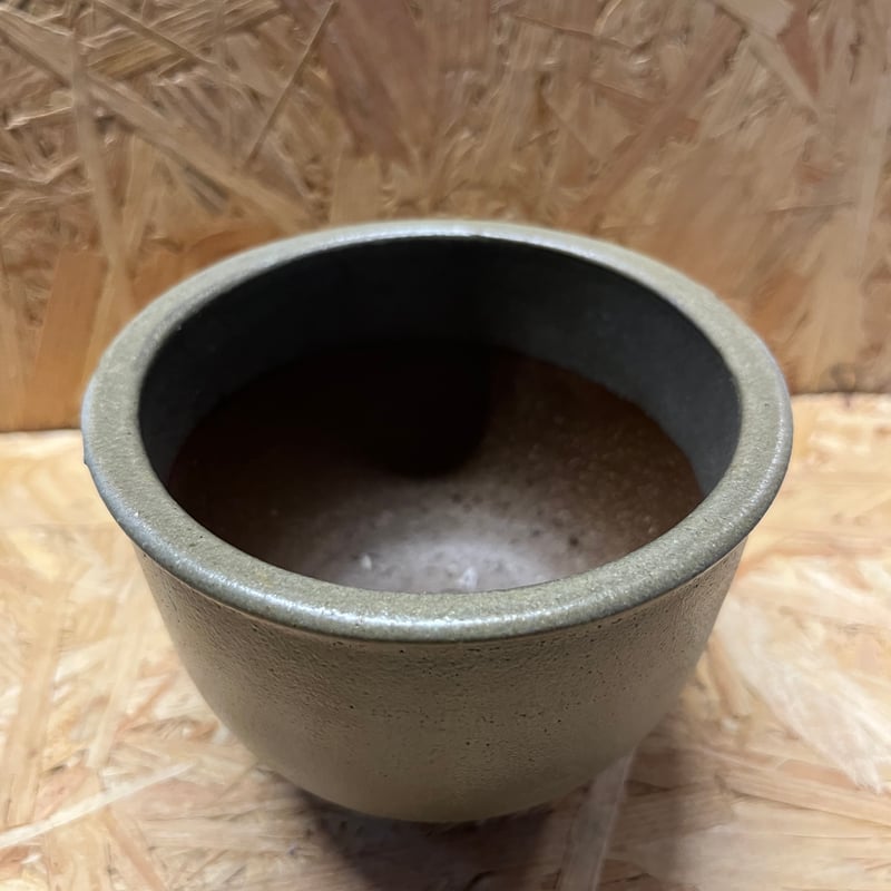 伝市鉢 穴窯 コウロ型 3.5号 | GREEN LUCK