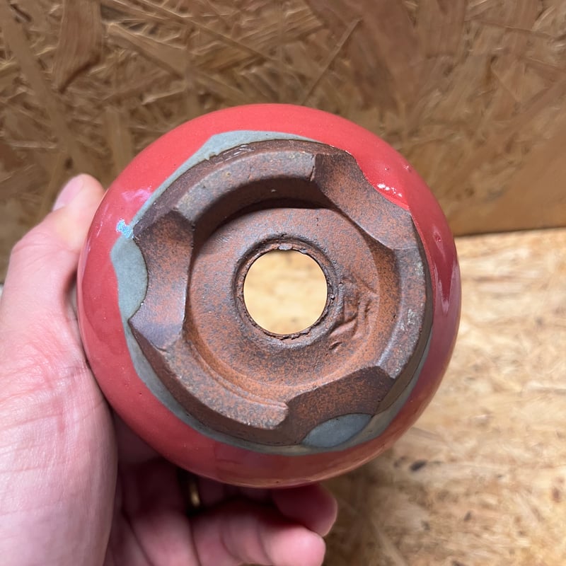 伝市鉢 コウロ型 3号 別注カラー | GREEN LUCK