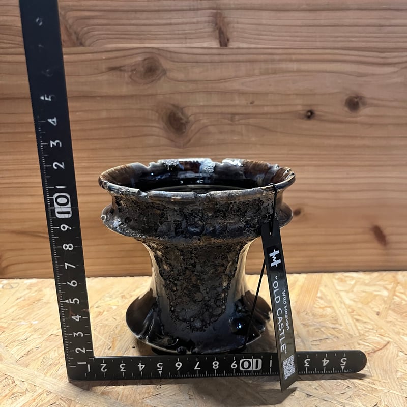 Wild Heaven 陶器鉢 OLD CASTLE3.5号 | GREEN LUCK