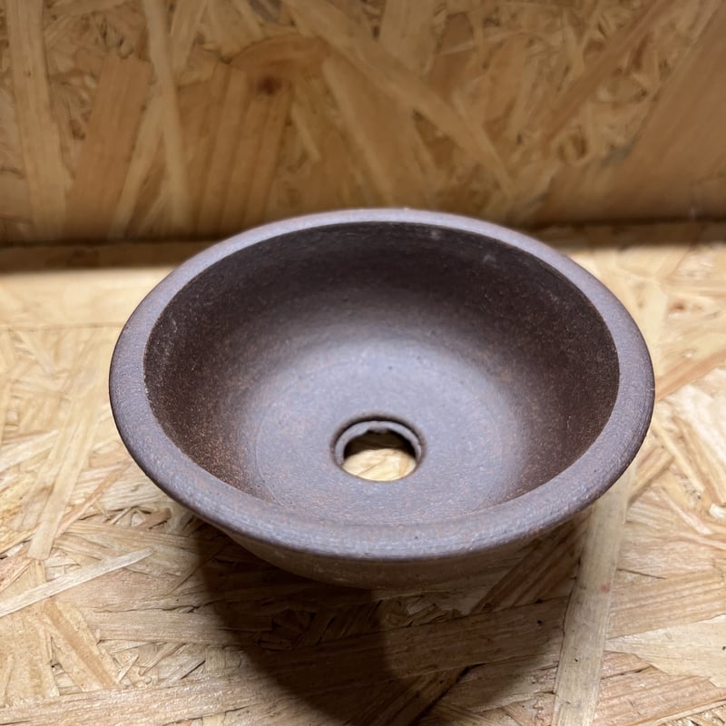 伝市鉢 サツキ鉢 3号 | GREEN LUCK