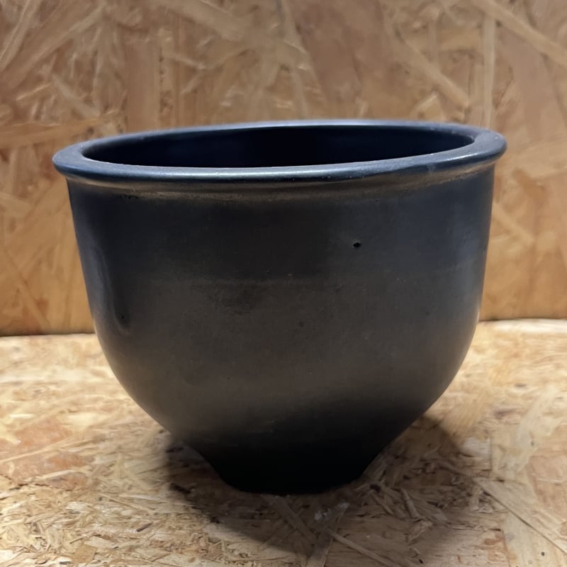 伝市鉢 コウロ型 サクラ草 黒化粧 3.5号 | GREEN LUCK
