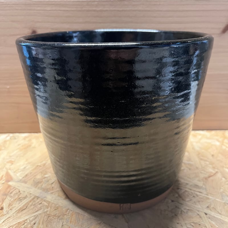 伝市鉢 横線入り 5.5号 丹波黒 | GREEN LUCK
