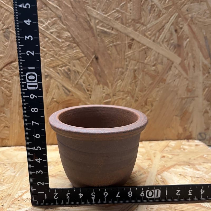 【未使用】srl 伝市鉢　2つセット 伝市鉢 丸型 2.5号 | GREEN LUCK