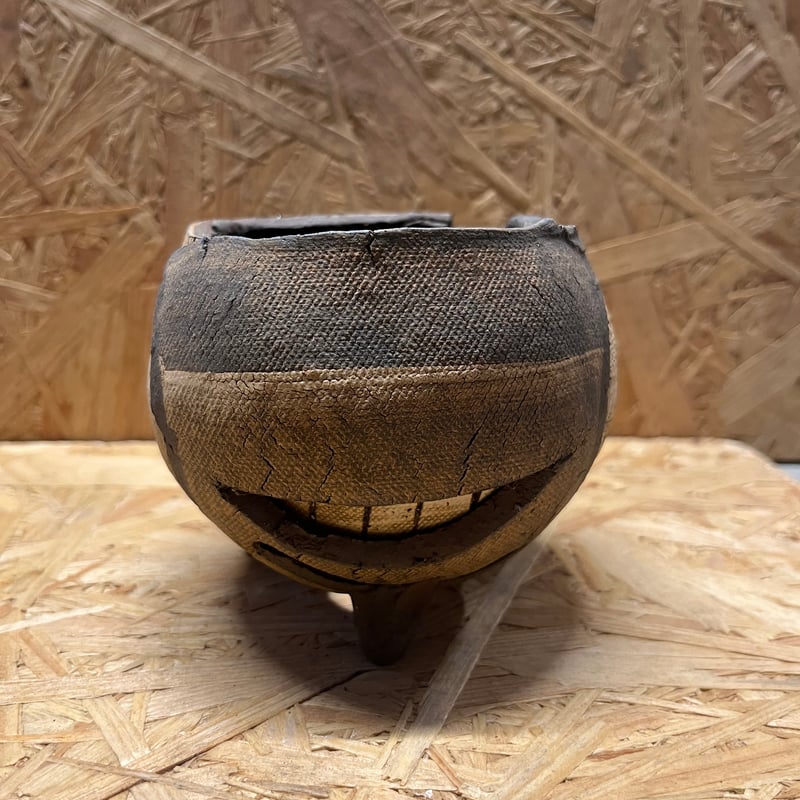 鉢付 グラキリス 塊根 グラキ 信楽焼 COMWORK STUDIO コムワーク 鉢付 グラキリス 塊根 グラキ 信楽焼 COMWORK STUDIO コムワーク 鉢付