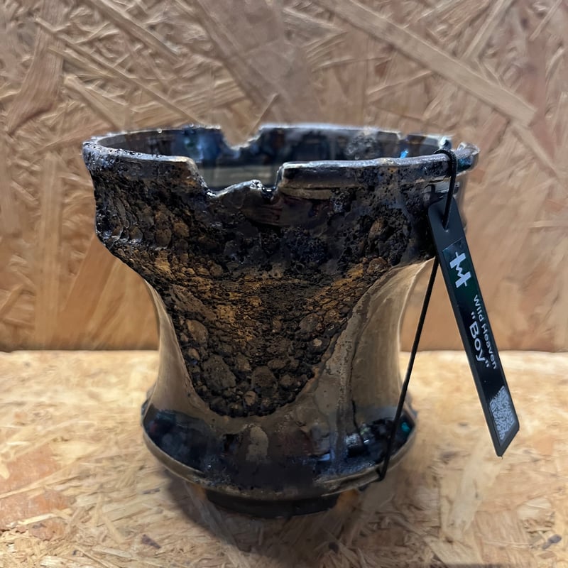Wild Heaven Boy 陶器鉢 作家鉢　新品未使用 Wild Heaven 陶器鉢 Boy 3.5号 | GREEN LUCK