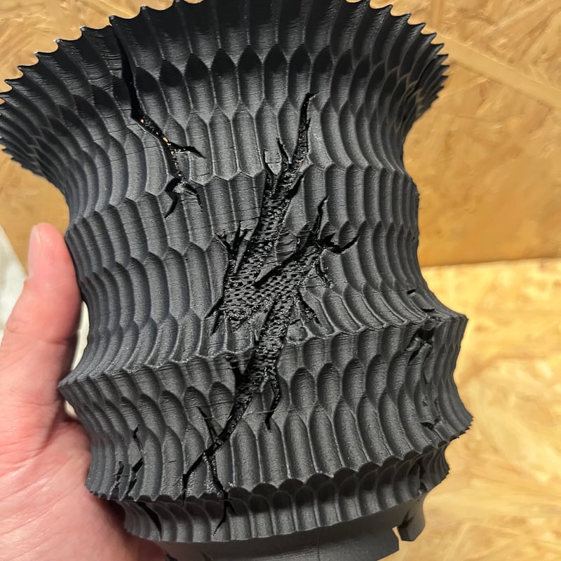 塊棘倶楽部 'ZEUS' | GREEN LUCK