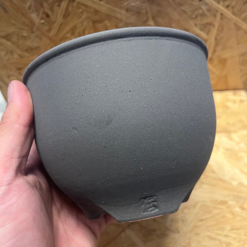 伝市鉢 コウロ型 4号 黒化粧 | GREEN LUCK