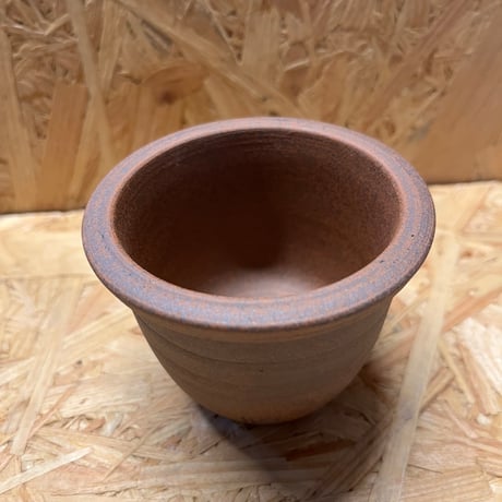 伝市鉢　丸型　2.5号